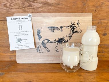 Exkurze v Montamilku