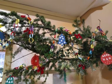 IMG_20191129_154620.jpg