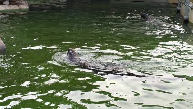 Výlet ZOO Liberec