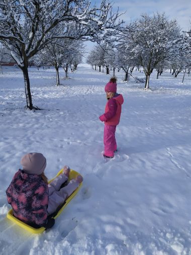 IMG_20211210_105725.jpg