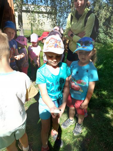 IMG20260528095017.jpg
