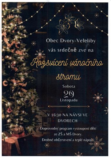 Rozsvícení vánočního stromu na návsi